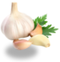 Fresh Garlic